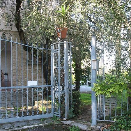 Villa Patrizia Torri Del Benaco Ngoại thất bức ảnh