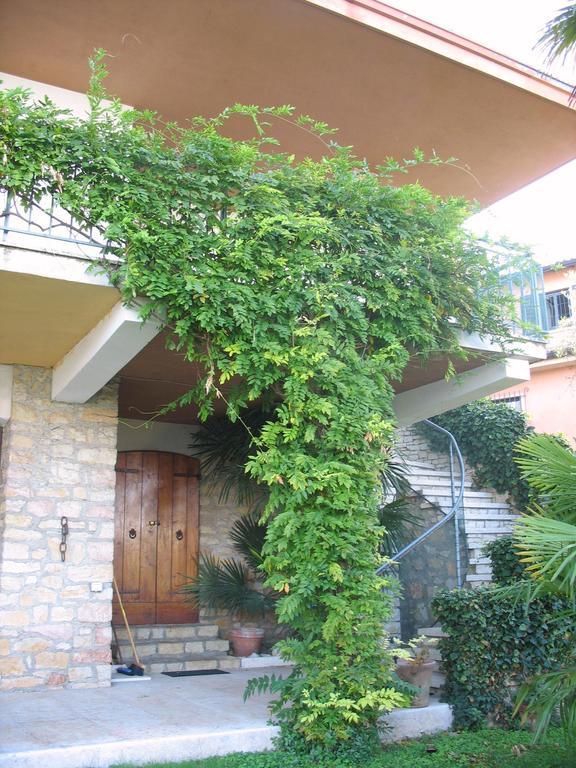 Villa Patrizia Torri Del Benaco Ngoại thất bức ảnh